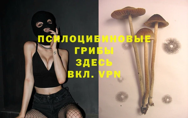 хмурый Карпинск