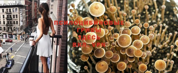 стафф Карталы