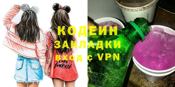 хмурый Карпинск