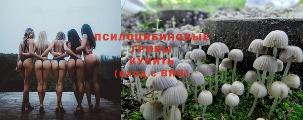 стафф Карталы