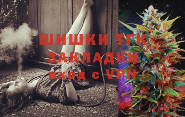 хмурый Карпинск
