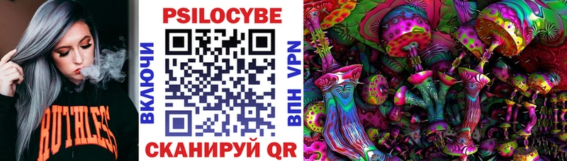 Галлюциногенные грибы Psilocybe  Купить закладки  Зеленоградск 